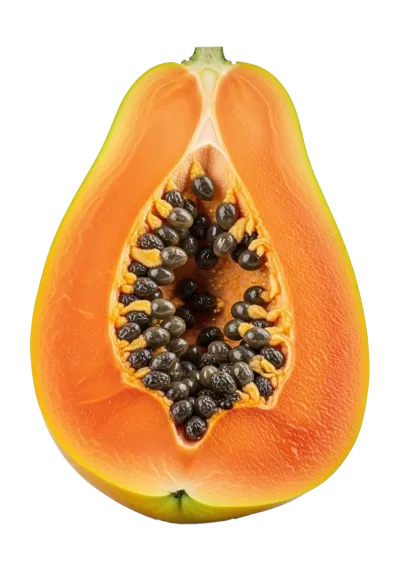 Imagen PNG para descargar